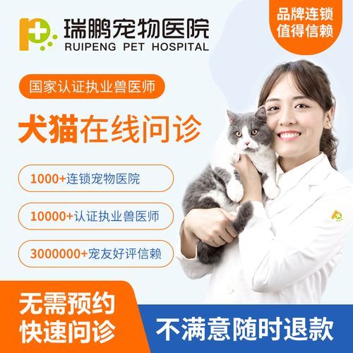 中国宠物医生网(中国宠物医生网值得信赖)