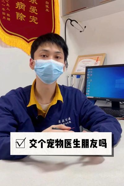 在线宠物医生咨询(如何选择靠谱平台)