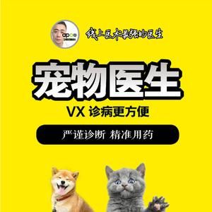 在线宠物医生咨询(如何选择靠谱平台)