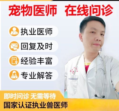 在线宠物咨询(在线平台靠谱吗)