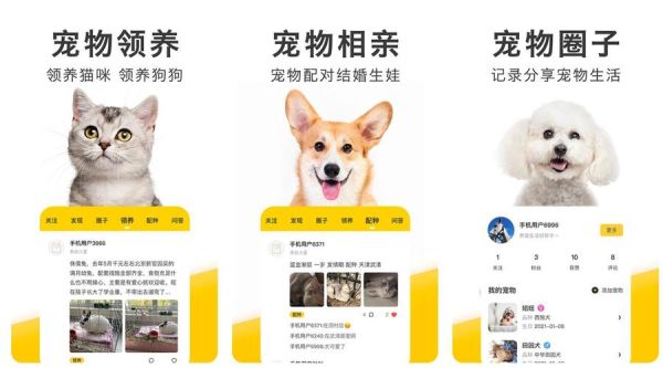 宠物交易网(哪个平台最安全可靠)