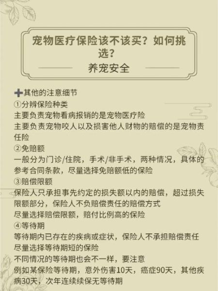 宠物医生网(您的最佳选择)