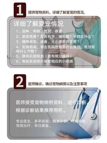 宠物医院在线咨询(在线咨询宠物医生靠谱吗)