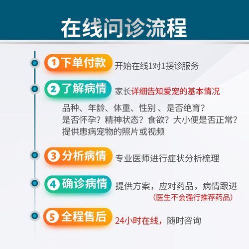 宠物医院在线咨询(在线咨询宠物医生靠谱吗)