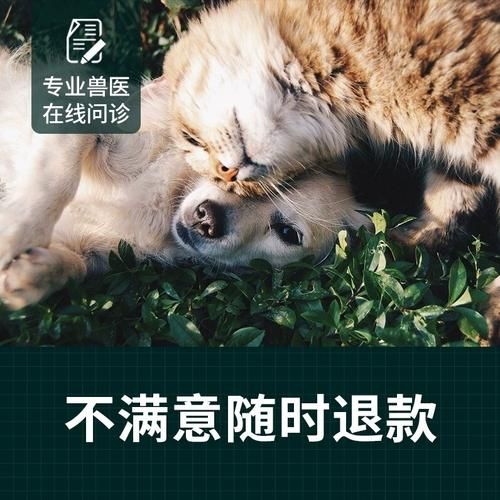 宠物在线咨询(在线咨询医生靠谱吗)