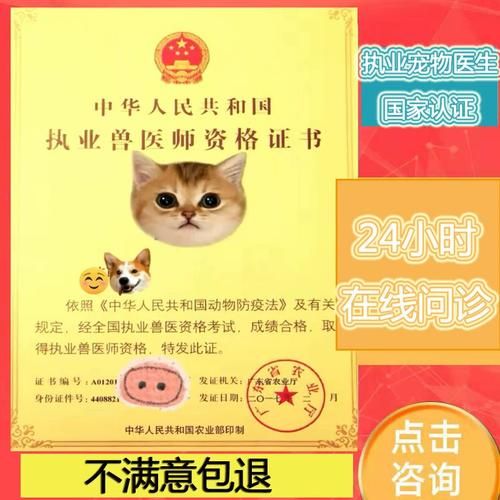 宠物在线咨询(在线咨询医生靠谱吗)