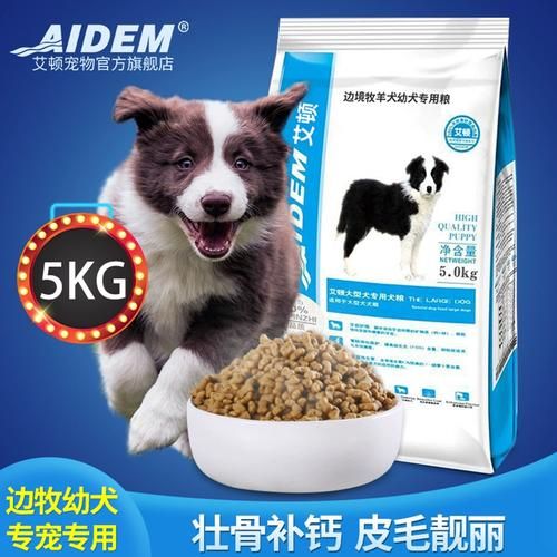 牧羊犬吃什么(还有哪些好吃又好用的美毛食材)