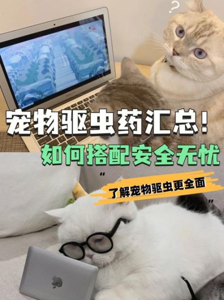 犬钩虫病( 如何保护狗狗安全)