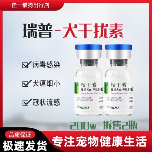 狗瘟的治疗方法(哪个方法最适合我家狗狗)
