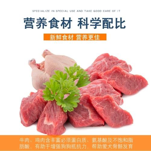 苏格兰牧羊犬吃什么(幼犬和成年犬的食谱有什么区别)