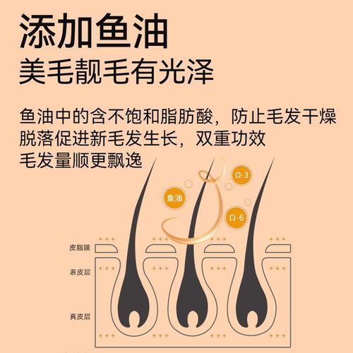 苏格兰牧羊犬吃什么(幼犬和成年犬的食谱有什么区别)