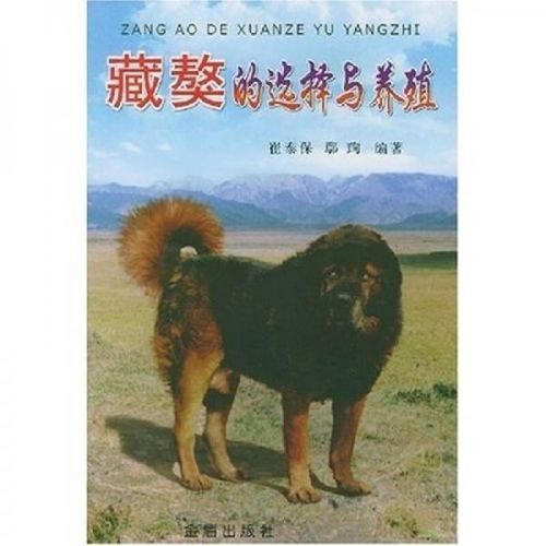藏獒的饲养( 奶粉和肉汤哪个更适合)