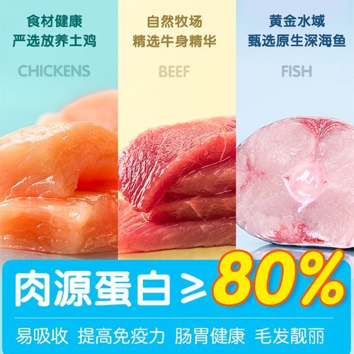 边境牧羊犬吃什么(吃什么才能肠胃好)