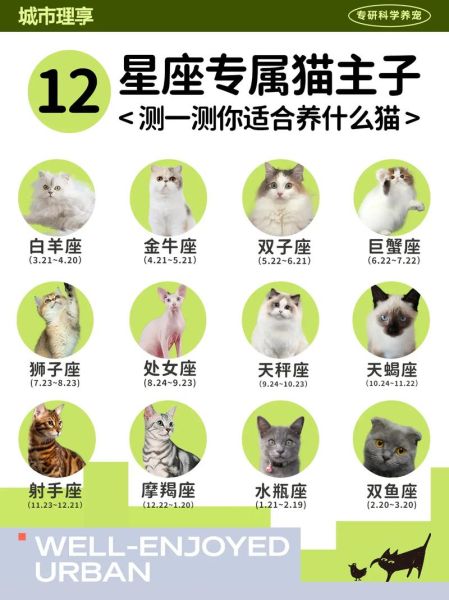 12星座专属宠物(看看12星座专属宠物都是什么)
