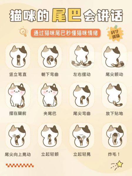 chongwu( 你真的了解宠物的小情绪吗)