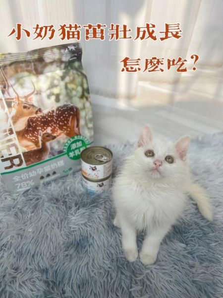 gimpet(猫咪会喜欢吃吗)