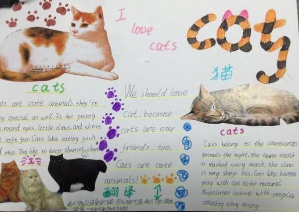 lovecat(别再说I love cat了)