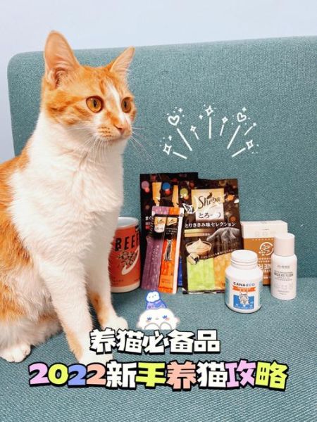 petsbelle(真的能抵挡住主子的破坏力吗)