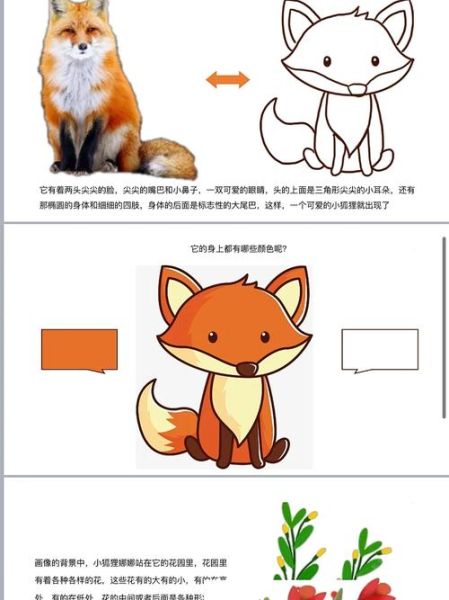 samoyed( 它和狐狸有什么关系)