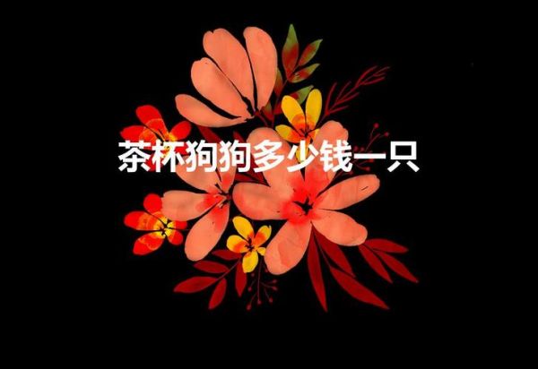 一只茶杯犬多少元(一只要多少钱)