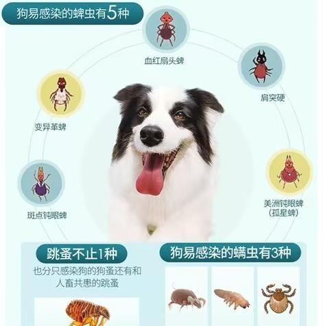 一般宠物店驱虫多少钱(价格会因地区差异吗)