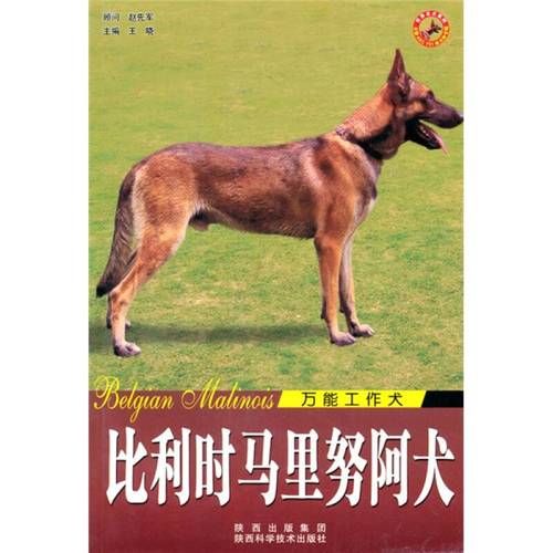 万能犬(它适合生活在城市吗)