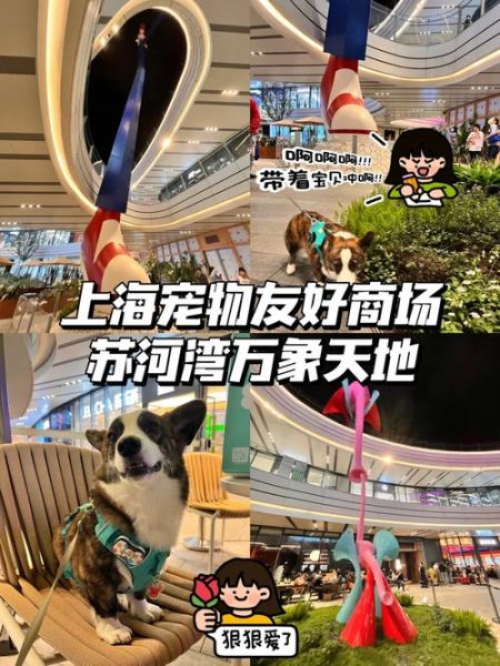 上海 宠物(能带它去哪里逛)