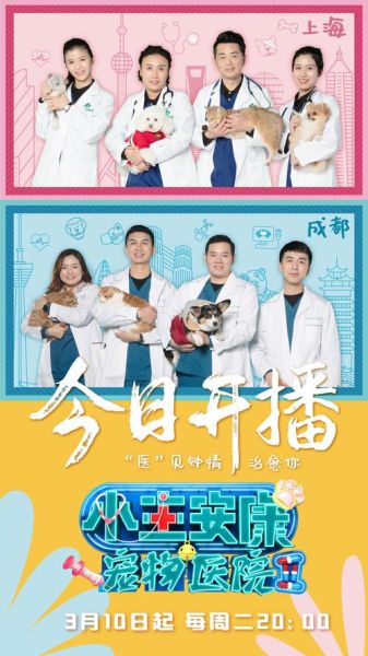 上海宠物医生( 怎么才能成为宠物医生)