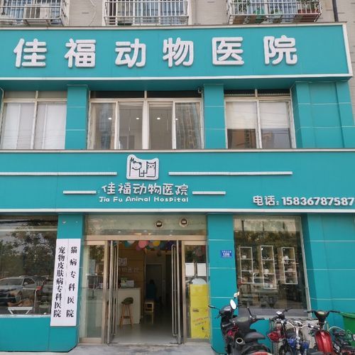 上海宠物医院(口碑好价格又实惠)