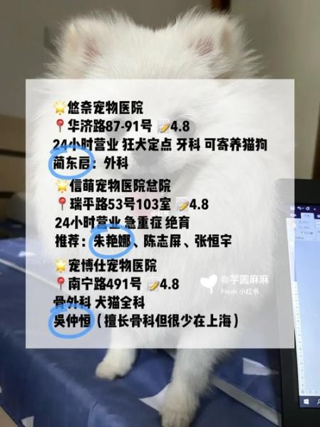 上海宠物医院(口碑好价格又实惠)