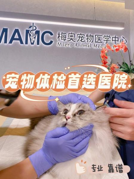 上海宠物医院咨询(怎么选最适合我的)