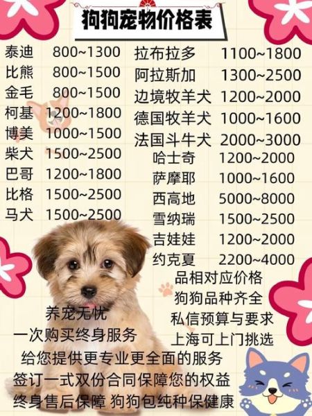 上海宠物市场(靠谱商家怎么找)