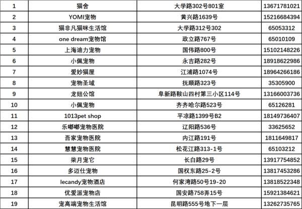 上海宠物店(上海哪家性价比最高)