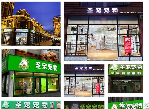上海宠物店加盟(如何选择合适的加盟品牌)