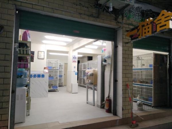 上海宠物猫专卖店(你家附近有吗)