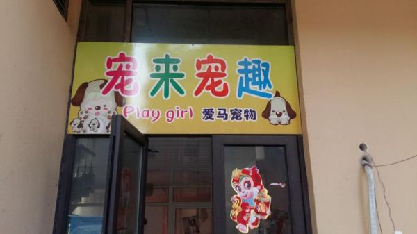 上海宠物用品店( 到底该去哪家买)
