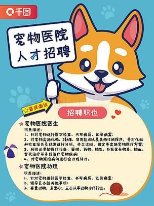 上海宠物网(宠物医院招聘信息多吗)