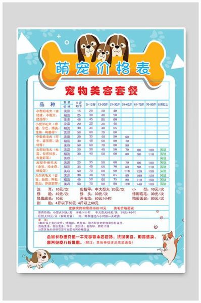 上海宠物美容(价格实惠服务好)