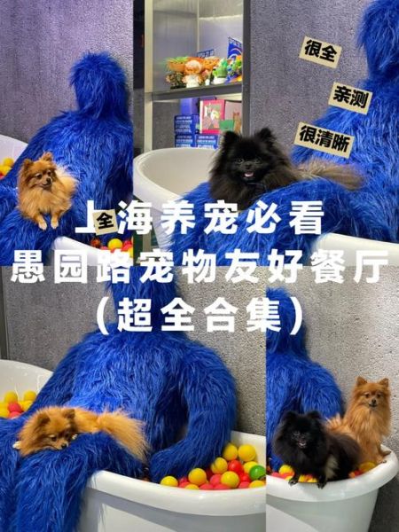 上海宠物群(到底该加哪个)