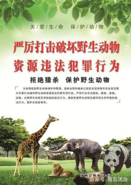 世界动物保护协会(你愿意为动物贡献一份力量吗)