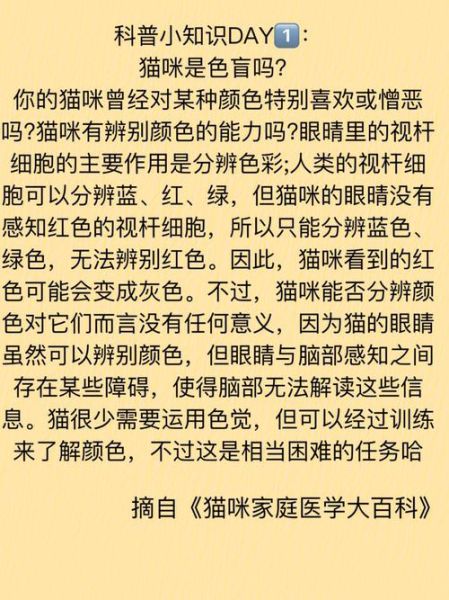 东北猫( 东北猫和普通猫有什么区别)