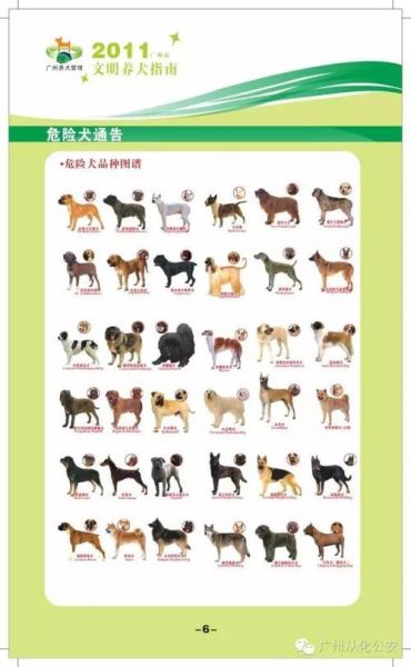 中华田园犬为什么禁养( 为什么会被禁养)