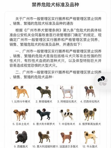中华田园犬为什么禁养( 为什么会被禁养)