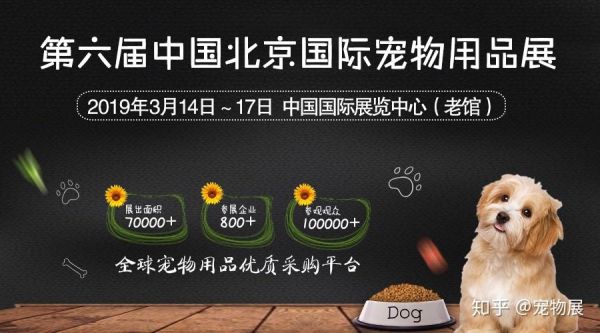 中国宠物网(中国宠物网值得逛逛)