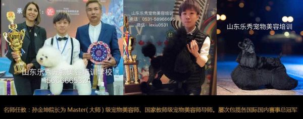 中国最好宠物美容学校(中国最好的宠物美容学校师资力量如何)