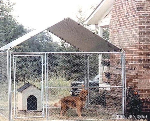 中国牧羊犬俱乐部(他们的犬舍怎么样)