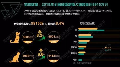 中宠网(中宠网怎么样)