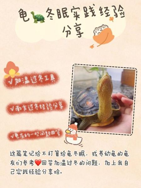 乌龟什么时候冬眠?( 什么温度才冬眠)