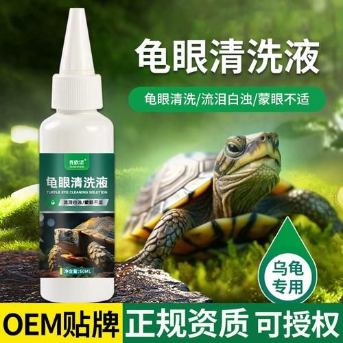 乌龟白眼病怎么办(用什么药水效果好)