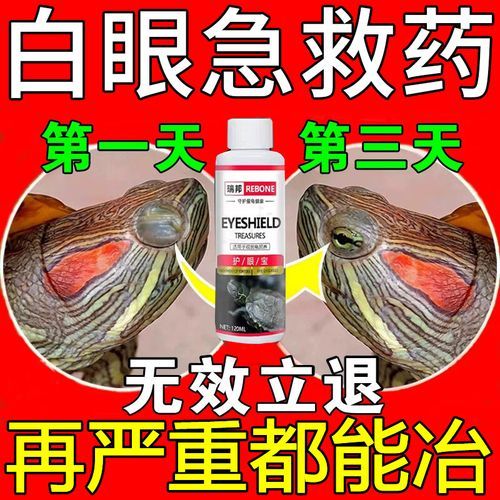 乌龟白眼病怎么治(什么眼药水效果最好)